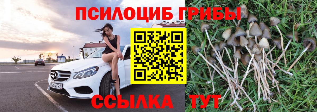 Галлюциногенные грибы прущие грибы  купить  цена  Гудермес  Вход с VPN 